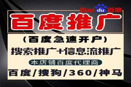 顶级SEM运营公司案例分析